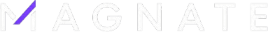Magnate Infotech